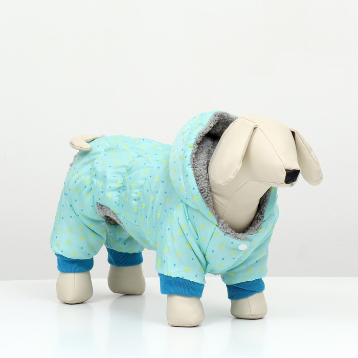 Комбинезон «Нежный путь», на меховом подкладе, размер XXL, ДС 45, ОШ 45, ОГ 55 см, голубой