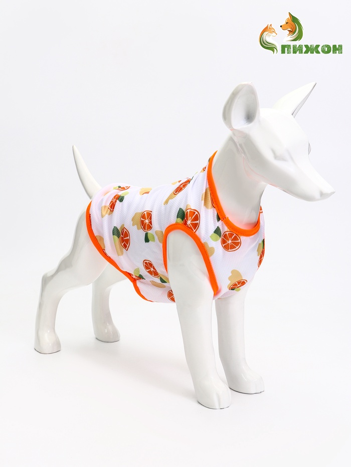 Футболка для животных «Апельсинка», размер L, ДС 34, ОГ 46 см