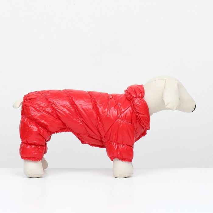 Комбинезон «Блеск», размер S, ДС 24 см, ОГ 34, ОШ 23 см, до 5 кг, красный