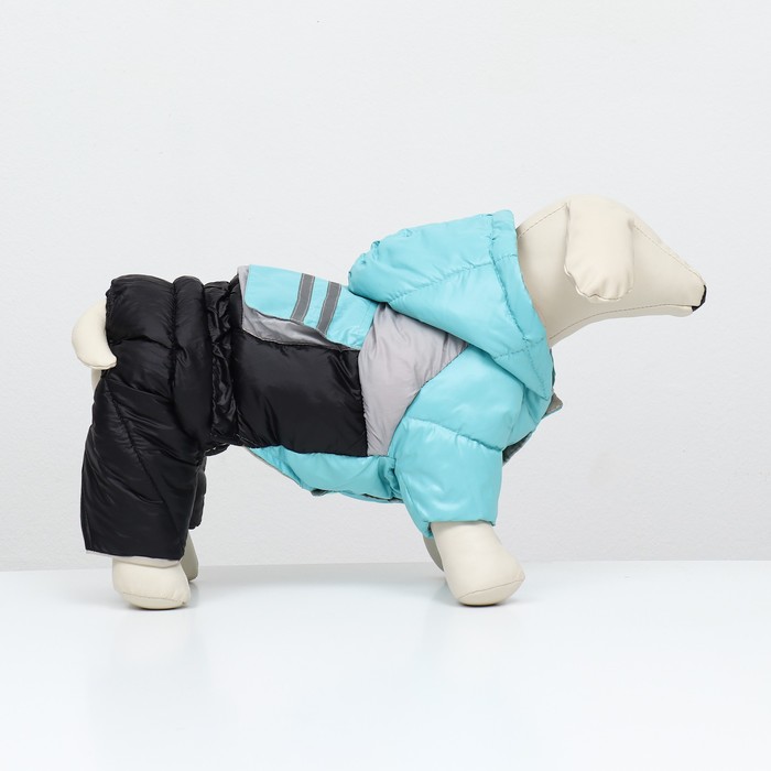 Комбинезон «Анорак», светоотражающий, размер 8, ДС 19 см, ОГ 30, ОШ 22 см, чёрный, голубой