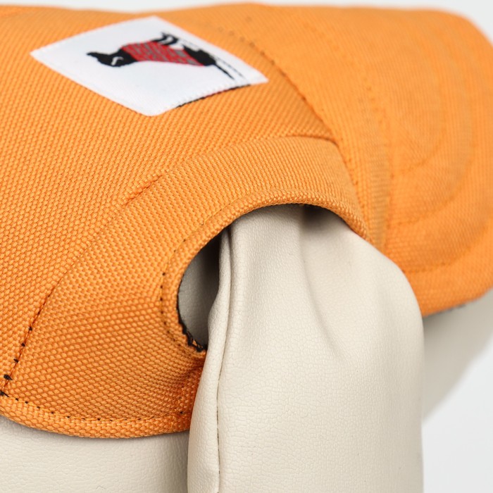 Кепка для собак, размер S, 22-34 см, оранжевая