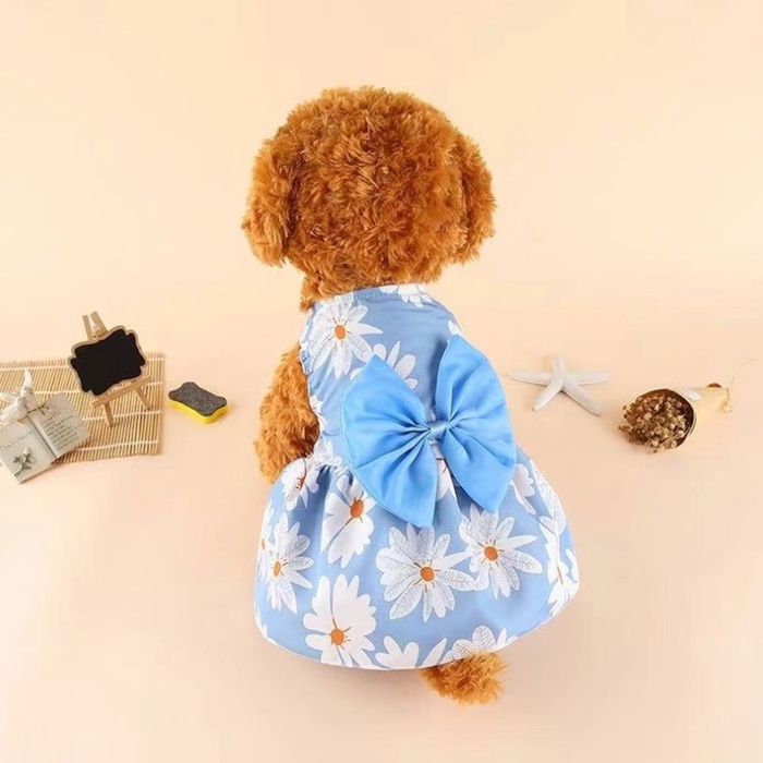 Платье для животных «Ромашки», размер L, ДС 35, ОГ 45 см, хлопок, голубое