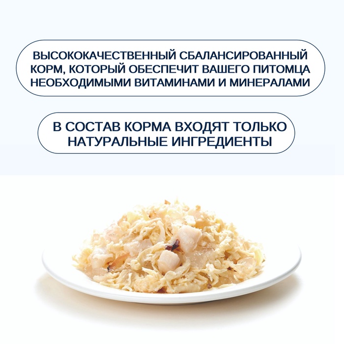 Wanpy Cat Консервы для кошек «Курица с гребешком» 95 г