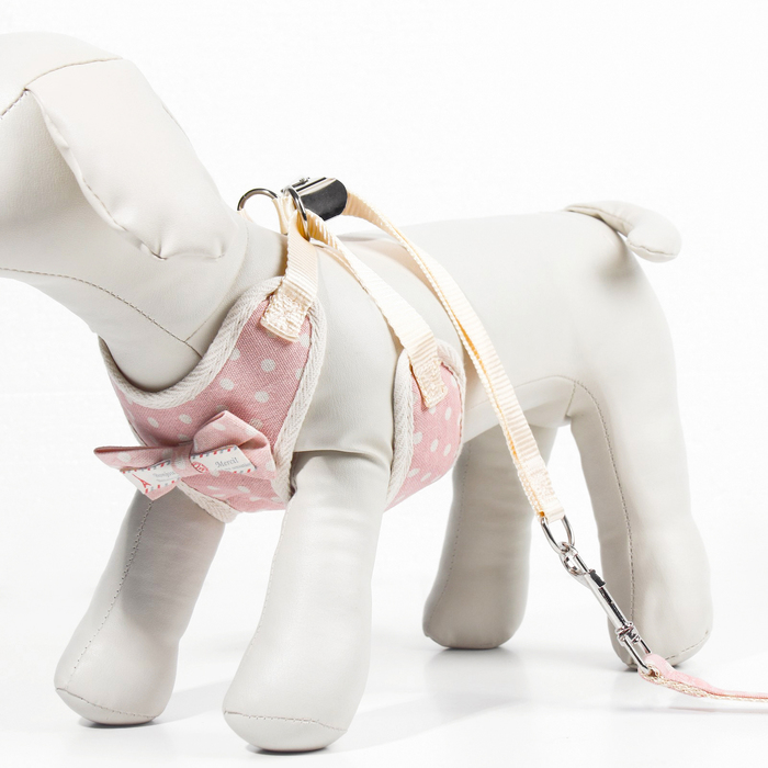 Шлейка с поводком «Горох», размер М, ОГ 34-66 см, поводок 120×1.5 см, розовая