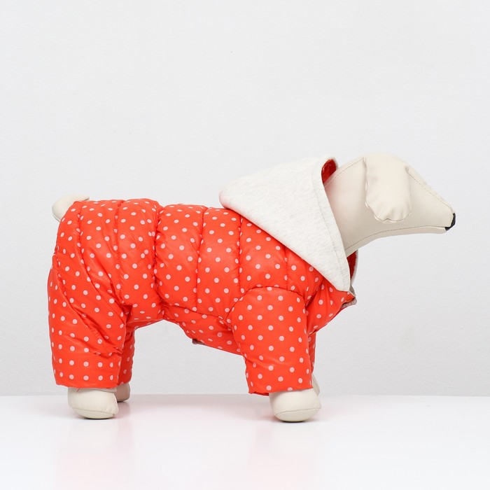 Комбинезон «Для прогулки», размер 10, ДС 21 см, ОГ 34 см, ОШ 24 см, оранжевый