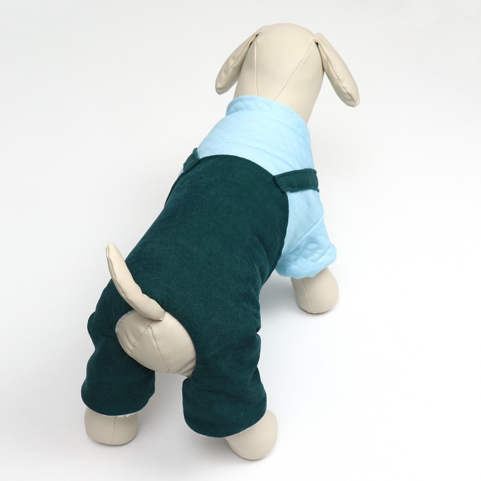 Комбинезон Oops, размер XS, ДС 20 см, ОГ 30 см, ОШ 20 см, зелёный