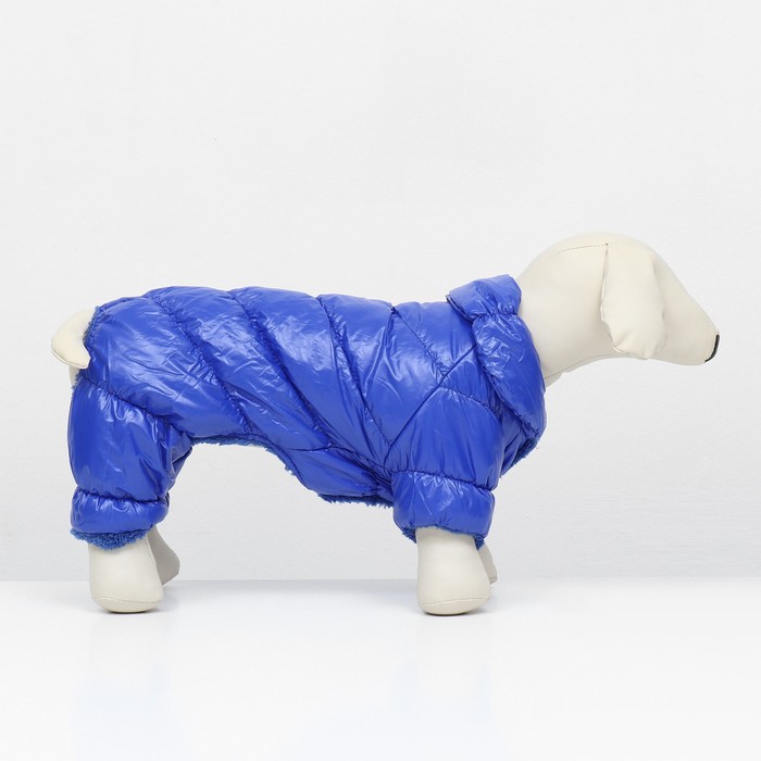 Комбинезон «Блеск», размер L, ДС 34 см, ОГ 47, ОШ 32 см, до 10 кг, синий