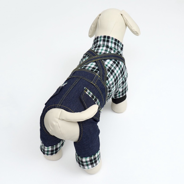 Комбинезон Men, размер XS, ДС 20 см, ОГ 30 см, ОШ 20 см, синий