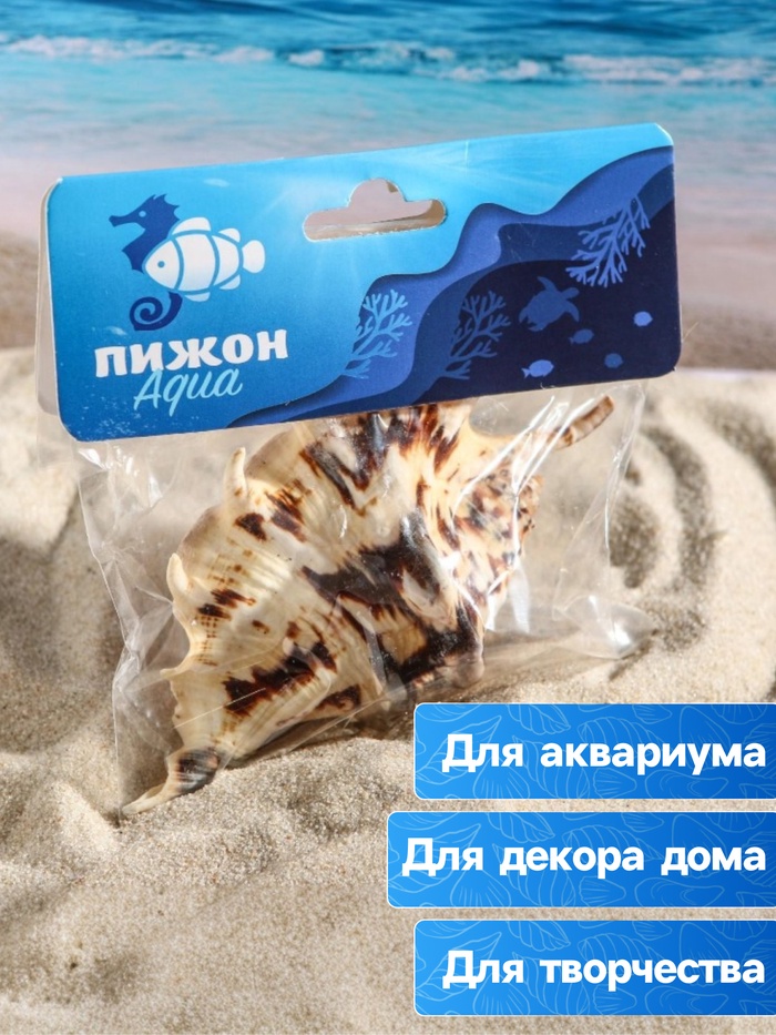 Ракушка декоративная, 7-11 см