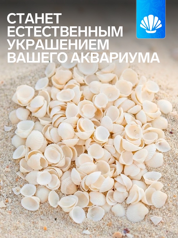 Набор ракушек декоративных 1.5-3 см, 100 г