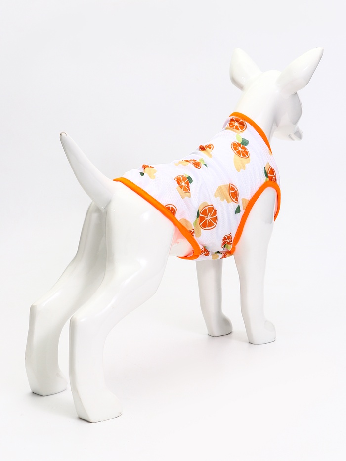 Футболка для животных «Апельсинка», размер L, ДС 34, ОГ 46 см