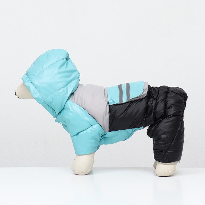 Комбинезон «Анорак», светоотражающий, размер 8, ДС 19 см, ОГ 30, ОШ 22 см, чёрный, голубой