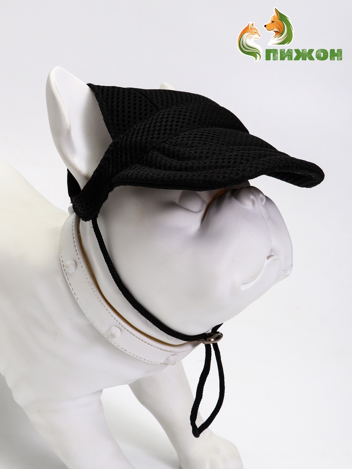 Кепка для собак и кошек, размер L, ОГ - 44 см, высота 13.5 см, чёрная