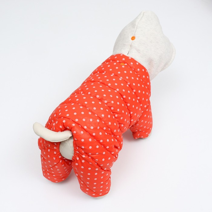 Комбинезон «Для прогулки», размер 14, ДС 28 см, ОГ 42 см, ОШ 31 см, оранжевый