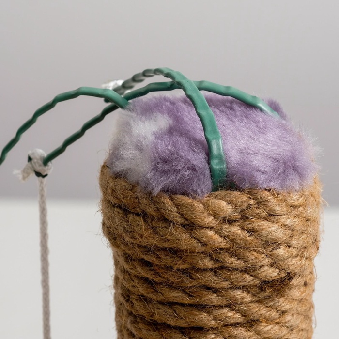 Лежанка с когтеточкой для котят, 34×26×34 см, джут, цвет МИКС