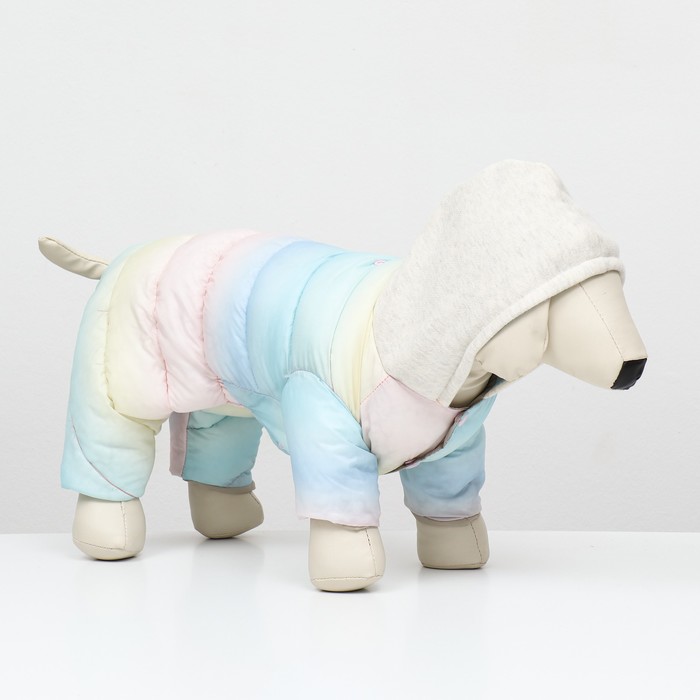 Комбинезон «Для прогулки», размер 12, ДС 24 см, ОГ 38 см, ОШ 27 см, пастельный