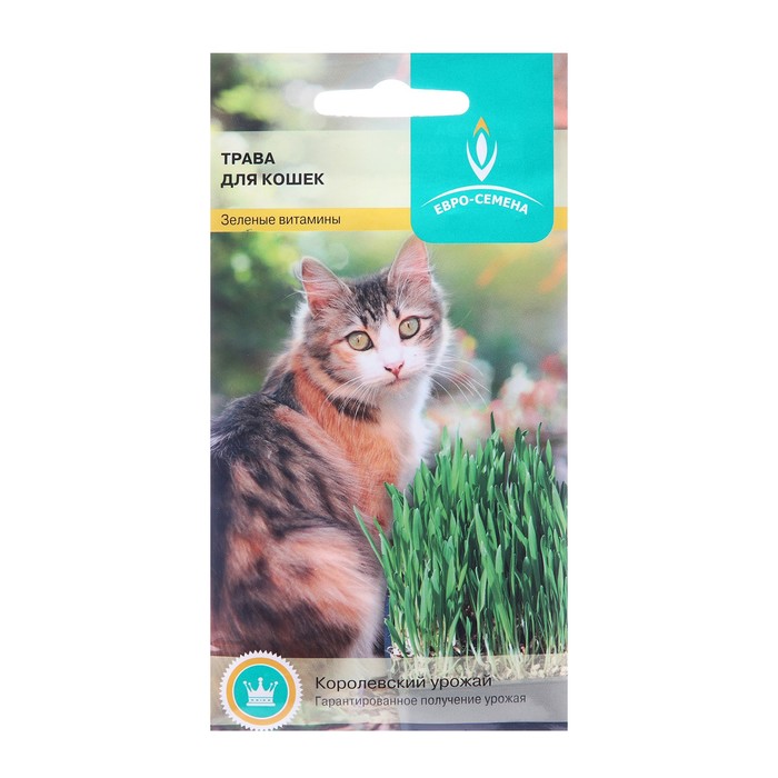 Семена Трава для кошек, 10 г, «Евро-семена»