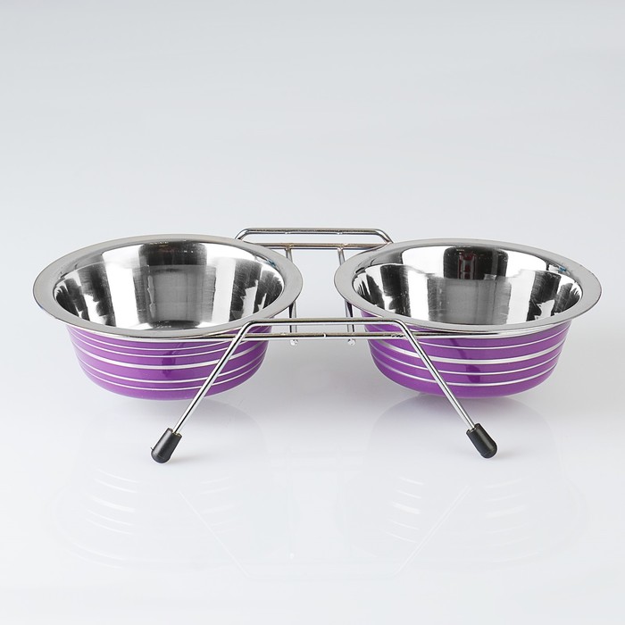 Набор из 2 цветных мисок на подставке, 2×350 мл