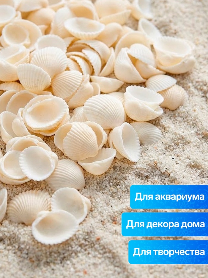 Набор ракушек декоративных 1.5-3 см, 100 г