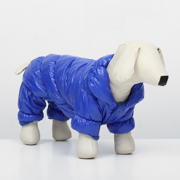 Комбинезон «Блеск», размер S, ДС 24 см, ОГ 34, ОШ 23 см, до 5 кг, синий