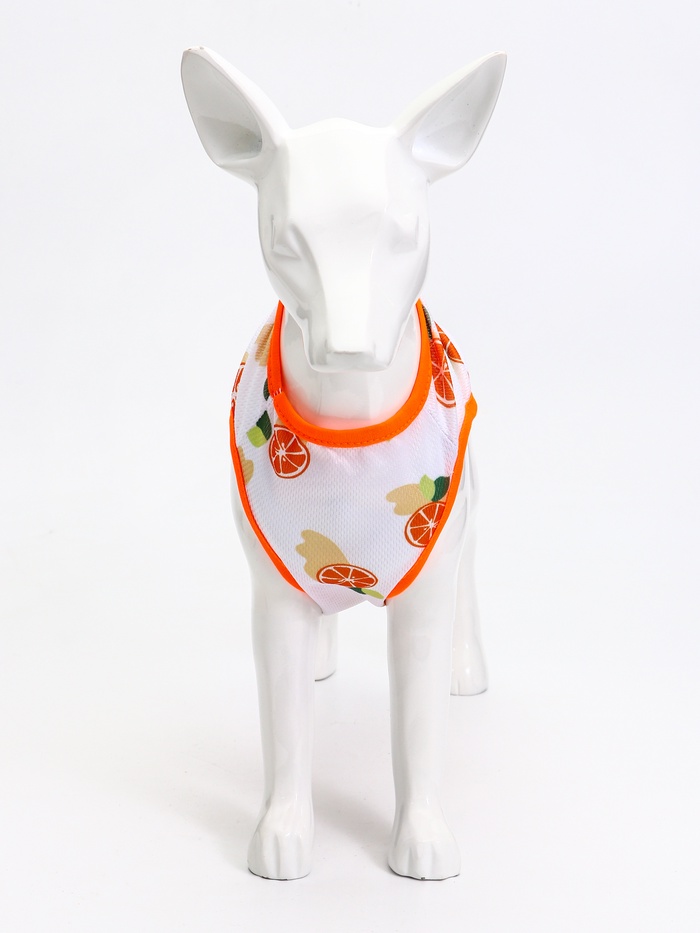 Футболка для животных «Апельсинка», размер S, ДС 25, ОГ 38 см