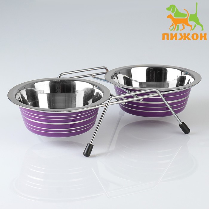 Набор из 2 цветных мисок на подставке, 2×350 мл