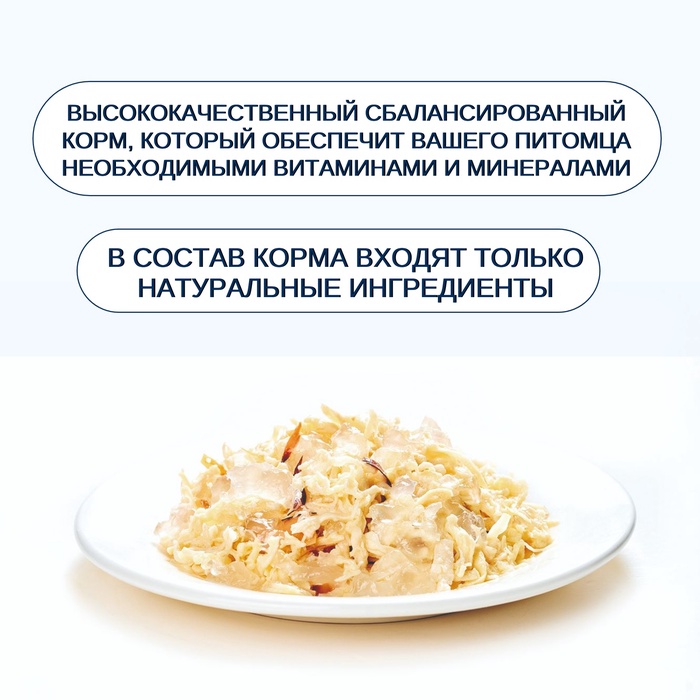 Wanpy Cat Консервы для кошек «Курица с тунцом» 95 г