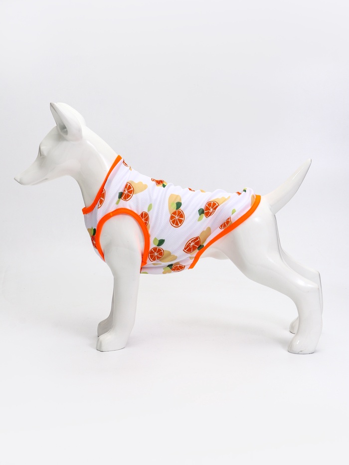 Футболка для животных «Апельсинка», размер L, ДС 34, ОГ 46 см
