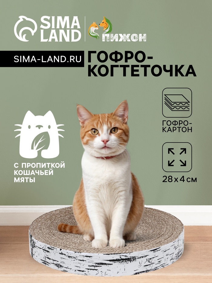 Гофрокогтеточка «Пижон. Спил березы», 28×4 см, с пропиткой, высокая, круглая