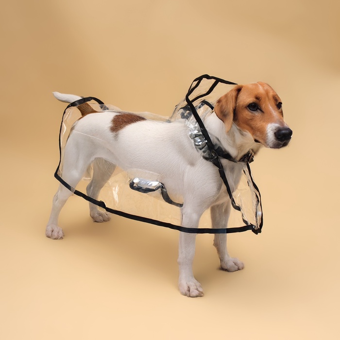 Дождевик для собак, размер 4XL, ДС 50, ОГ 60-66, ОШ 56 см, чёрный