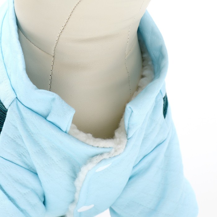 Комбинезон Oops, размер XS, ДС 20 см, ОГ 30 см, ОШ 20 см, зелёный