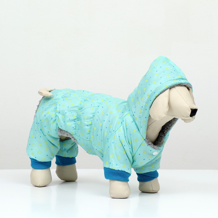 Комбинезон «Нежный путь», на меховом подкладе, размер XXL, ДС 45, ОШ 45, ОГ 55 см, голубой