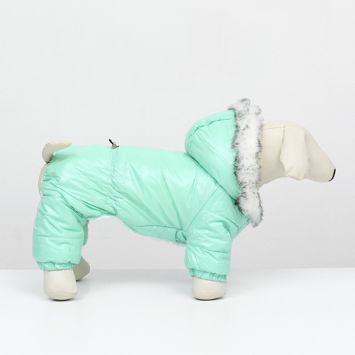 Комбинезон «Глянец», размер S, ДС 24, ОГ 34, ОШ 24 см, до 5 кг, мятный