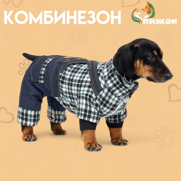 Комбинезон Men, размер XS, ДС 20 см, ОГ 30 см, ОШ 20 см, синий