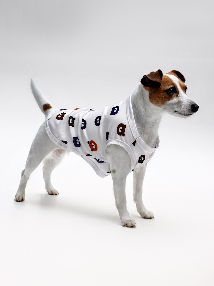 Футболка для животных «Мишка», XL (ДС 38, ОГ 50 см), белая