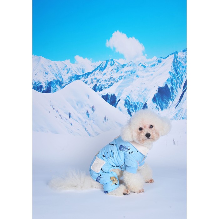 Комбинезон «Метель», размер XS, ДС 20 см, ОГ 30, ОШ 21 см, голубой