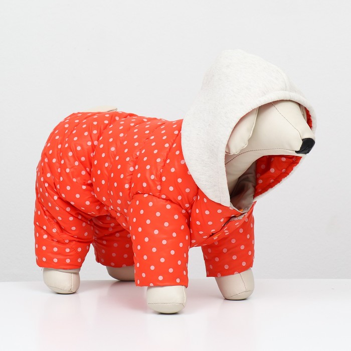 Комбинезон «Для прогулки», размер 18, ДС 40 см, ОГ 50 см, ОШ 38 см, оранжевый