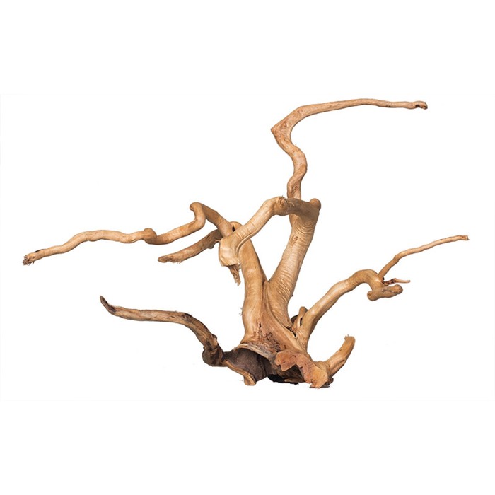 Декорация природная PRIME «Коряга сакура» размер S, 20-30 см