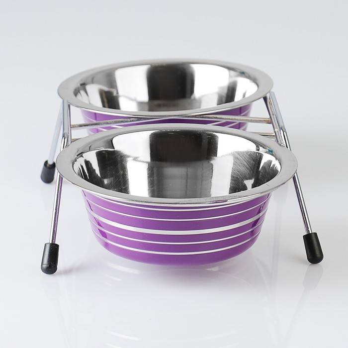 Набор из 2 цветных мисок на подставке, 2×350 мл