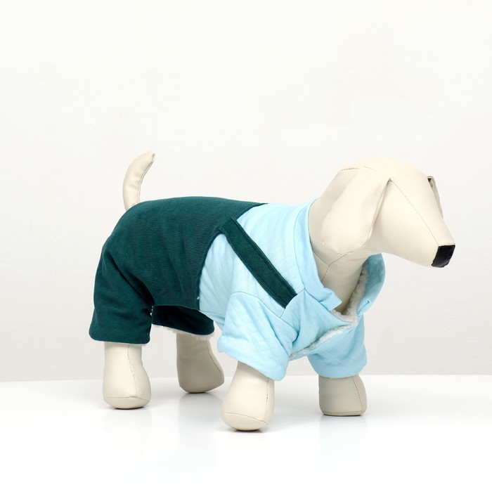 Комбинезон Oops, размер XS, ДС 20 см, ОГ 30 см, ОШ 20 см, зелёный