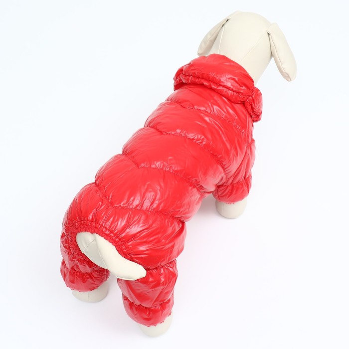 Комбинезон «Блеск», размер S, ДС 24 см, ОГ 34, ОШ 23 см, до 5 кг, красный