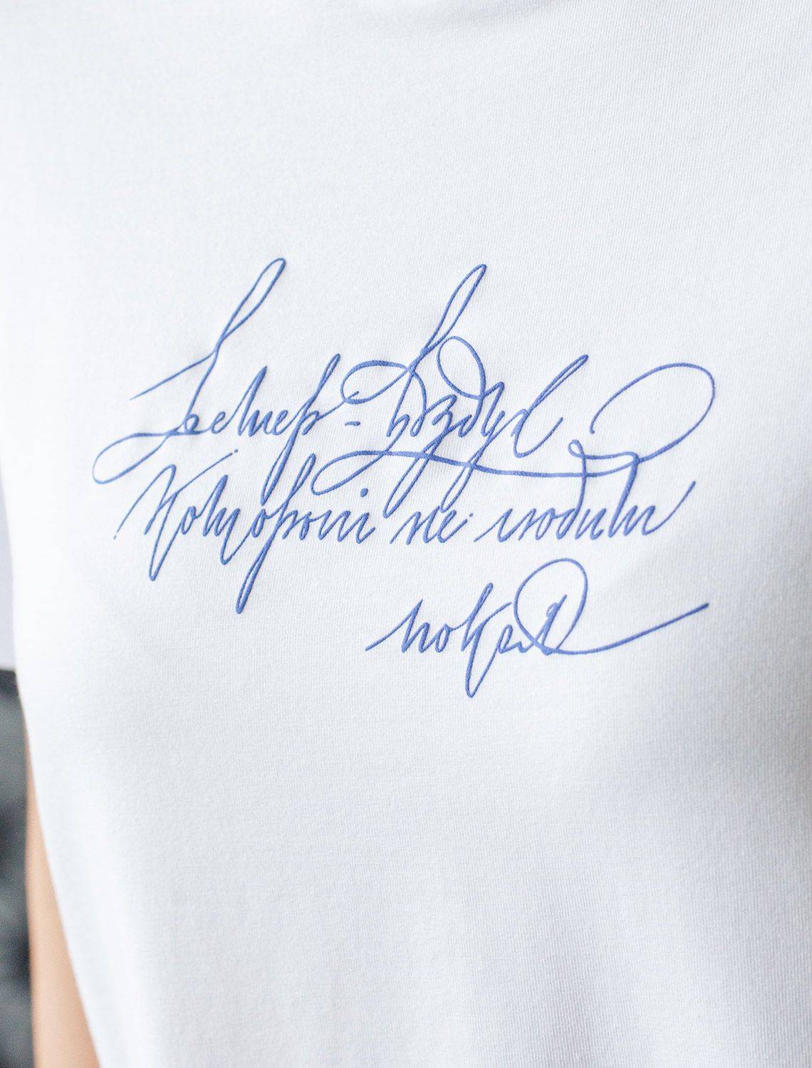 Ст.цена 1390р Футболка из премиального хлопка с авторским принтом D49.110 белый_ветер