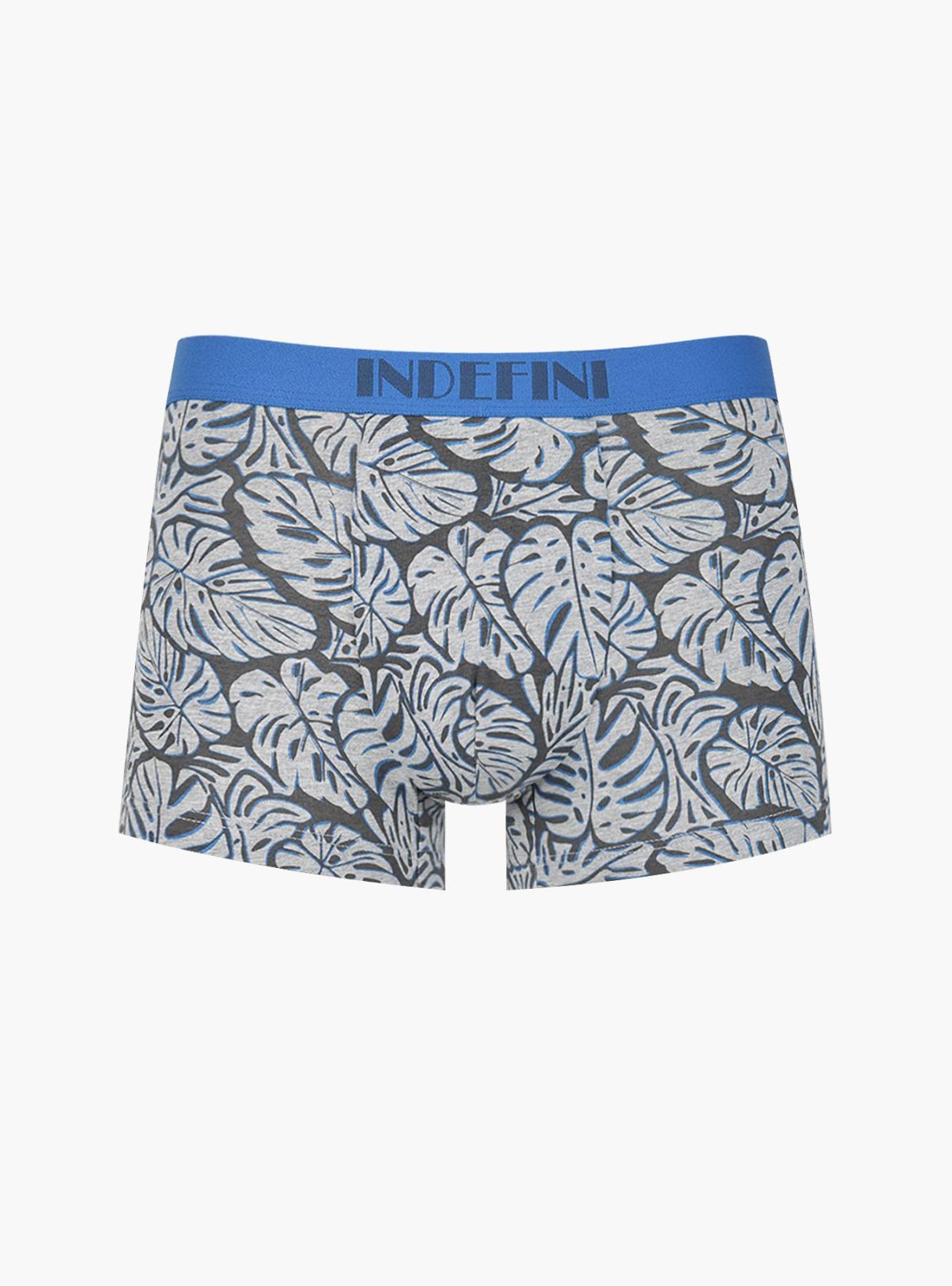 Мужские боксеры с принтом Indefini (Арт. 3029MUG)