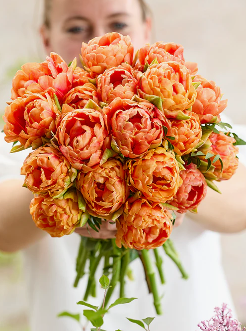 Тюльпаны Orange Flavour NEW (10шт. в уп.)