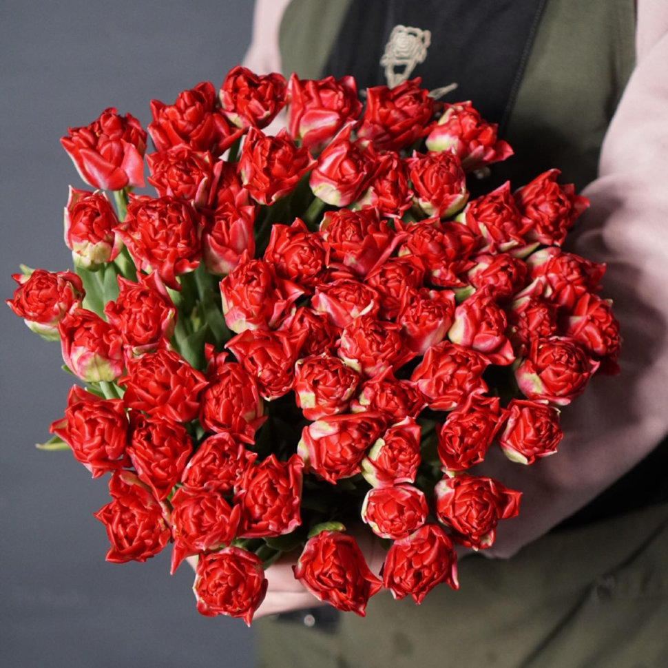 Тюльпаны Pamplona NEW (10шт. в уп.)