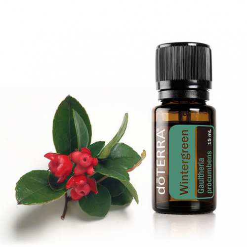 Грушанка эфирное масло Wintergreen Essential Oil