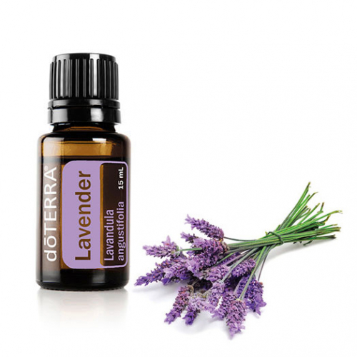 Лаванда эфирное масло Lavender Essential Oil