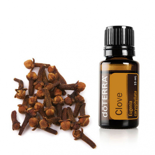 Гвоздика эфирное масло Clove Essential Oil