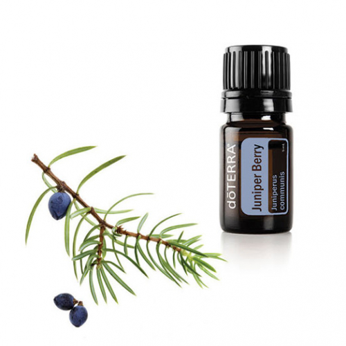 Можжевельник обыкновенный эфирное масло Juniper Berry Essential Oil