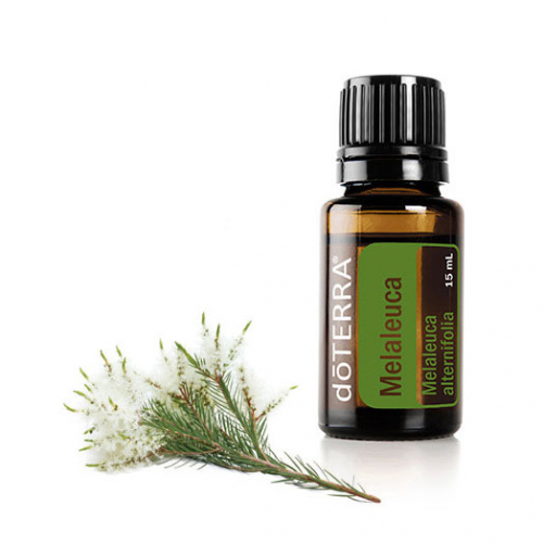 Чайное дерево эфирное масло Melaleuca Essential Oil